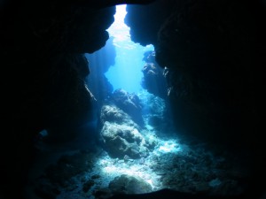 IMG_2487
