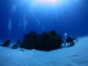IMG_2604