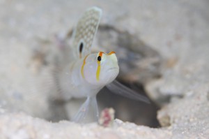 IMG_6628