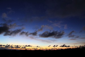 IMG_6984