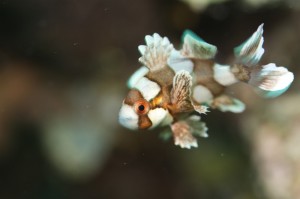 IMG_7497