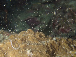 s-IMG_2589