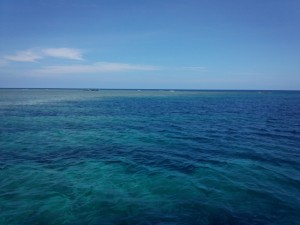 sDSC_0182