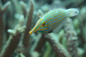 sIMG_6621