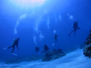 IMG_1525
