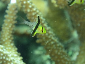 IMG_3253