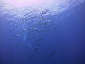 IMG_5020
