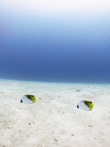 IMG_5290