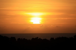 IMG_7929