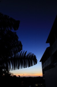 IMG_7955