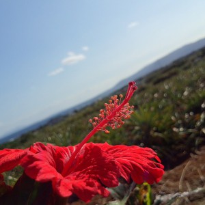 DCIM0646