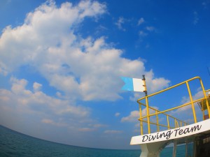 IMG_3179