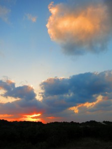 IMG_3185