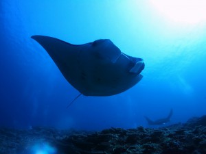 IMG_4842