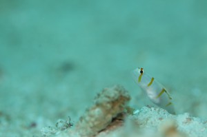 IMG_9893