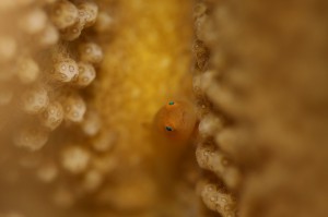 IMG_9907