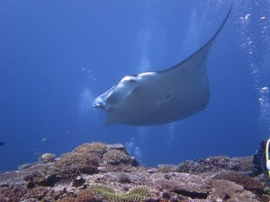 s-IMG_0473
