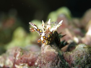 s-IMG_4871