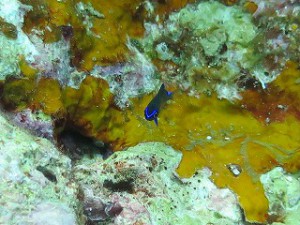 IMG_2572