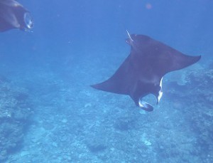 IMG_3085