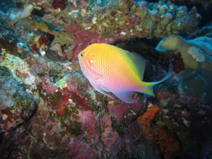 IMG_4497