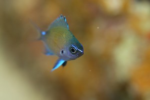 IMG_5303