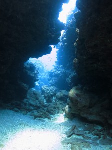s-IMG_3467