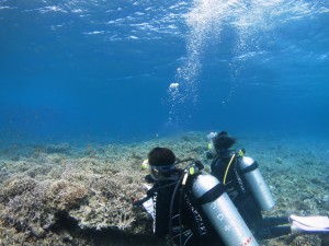 s-IMG_4768