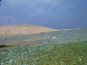 s-P1130685