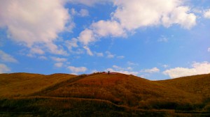 sDSC_0227