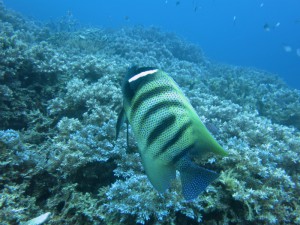 sIMG_4307
