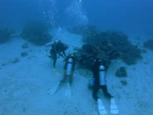 sIMG_4394