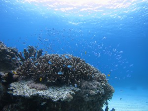 sIMG_4642