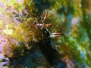 IMG_3706