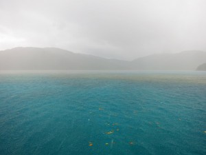 IMG_6397