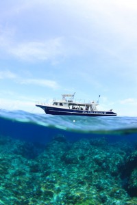 IMG_6702