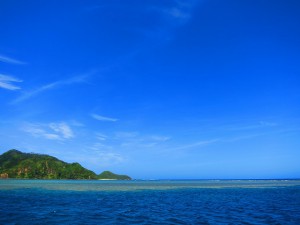 IMG_7081