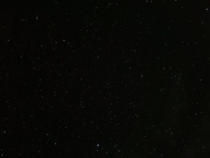 IMG_0063