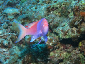 IMG_5776