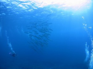 IMG_6266