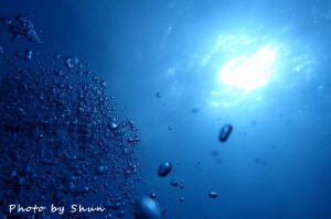 P7310023