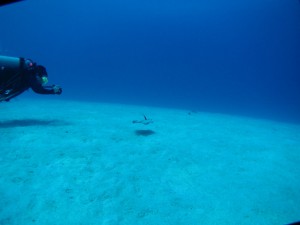 IMG_3609