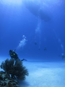 IMG_7187