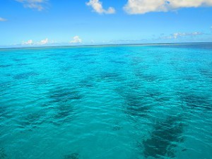 IMG_2168
