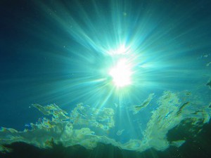 IMG_2229