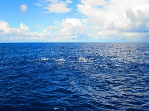 IMG_2363