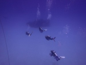 IMG_2388