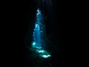 IMG_3589