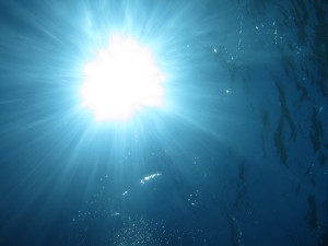 IMG_3987