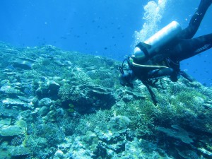 IMG_4015